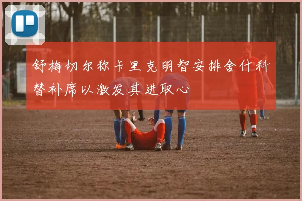 舒梅切尔称卡里克明智安排舍什科替补席以激发其进取心