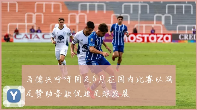 马德兴呼吁国足6月在国内比赛以满足赞助条款促进足球发展