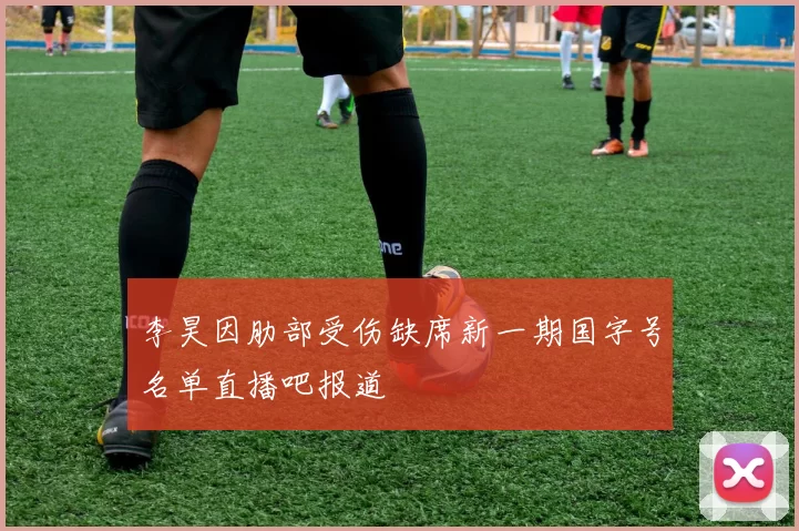 李昊因肋部受伤缺席新一期国字号名单直播吧报道
